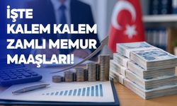 İşte kalem kalem zamlı memur maaşları!