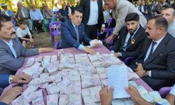 Dillere Destan Düğün: 35 Koyun Kesildi, 6 Milyon Lira Takıldı