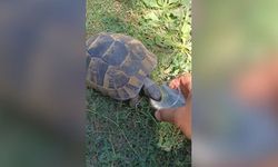 Kahramanmaraşlı Askeri Personelden Vefa Örneği