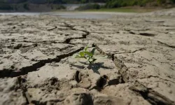 Kuraklık riskleri "TAKİS" ile dijital ortamda anlık takip edilecek