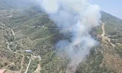 Antalya ve Kütahya'da çıkan orman yangınına havadan ve karadan müdahale ediliyor