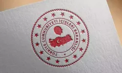 6 bin 134 yabancının Türk vatandaşlığı iptal edildi ya da geri alındı