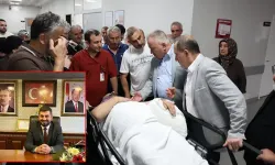 Arı kovanlarının bakımını yaparken iskeleden düşen belediye başkanı yaralandı