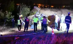 Aydınlatma direğine çarpan otomobil takla attı: 1 ölü, 2 yaralı