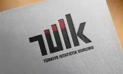 TÜİK: Güven endeksleri ağustosta geriledi