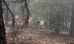 Kahramanmaraş'ta 8 farklı alanda çıkan orman yangınları söndürüldü