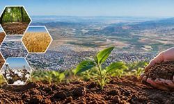 Kahramanmaraş’ta Toprak Çeşitliliği Tarımın Haritasını Şekillendiriyor
