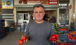 Salça sezonu başladı, domates ve biber tezgahlarda yerini aldı