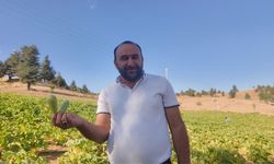 Deprem sonrası hayatını yeniden inşa etti, köyüne döndü: Şimdi kabak yetiştiriyor