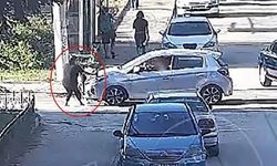 Elif Mavi’nin Ölümünde Yeni Gelişme: Sürücü Yeniden Gözaltında