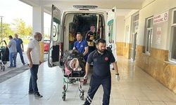 Hayvan otlatırken ayının saldırısına uğrayan çoban yaralandı