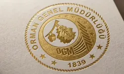 OGM: 4 orman yangını kontrol altına alındı