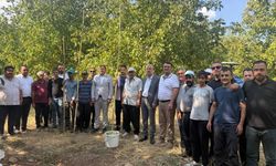 Başkan Sivri; “Çiftçinin bir yıllık emeği boşa gidiyor”