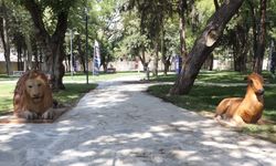 Tarihi Maraş Kalesi yarın açılıyor