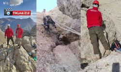 Kahramanmaraş'ta kayalıklarda mahsur kalan keçiler kurtarıldı