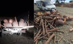Kahramanmaraş Pazarcık’ta Kaçak Orman Emvali Ele Geçirildi