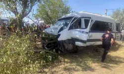 Tarım işçilerini taşıyan minibüs, ağaca çarptı: 14 yaralı