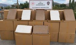 Kahramanmaraş’ta kaçakçılık operasyonu: 2 gözaltı