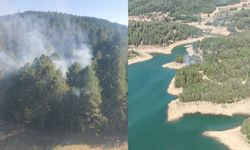 Andırın’da ormanlık alanda dumanlar yükseldi, ekipler seferber oldu