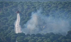 Kahramanmaraş’ta Yangın Riski Artarsa Ormanlara Giriş Yasaklanabilecek