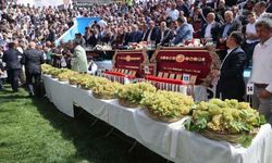 Bertiz’de 30. Kez Er Meydanı Kuruluyor
