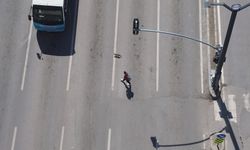 Kahramanmaraş’ta Sokak Kedisi Trafiği Birbirine Kattı