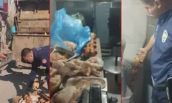 Restoranda bozulmuş tavuk etleri bulundu