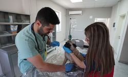 Kahramanmaraş’ta 5 Binden Fazla Can Dosta Güvenli Yuva
