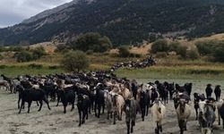 Kahramanmaraş’ta 6 aylık yayla yaşamı sona eriyor