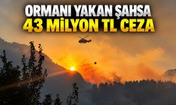 Kahramanmaraş’ta Ormanı Yakan Şahsa 43 Milyon TL Ceza