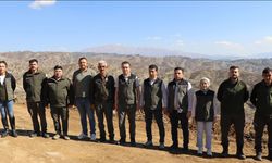 Kahramanmaraş’ta Yanan Ormanlar Yeniden Yeşeriyor