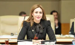 Kahramanmaraş Milletvekili Zuhal Karakoç Taburcu Edildi