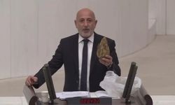 Öztunç, Kahramanmaraşlı çiftçilerin sorununu TBMM gündemine taşıdı