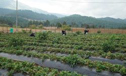 Kahramanmaraşlı Kadınların El Emeği Türkiye’nin Dört Bir Yanına Ulaşıyor