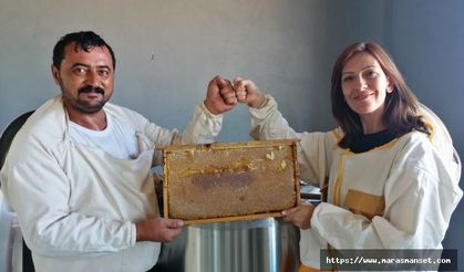 Kahramanmaraş'ta Hacettepe Üniversitesi iş birliğinde üretilen bal hasat edildi