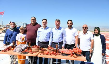 Kahramanmaraş'ta 600 dönüm domates kurutularak ihraç ediliyor