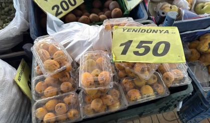 Kahramanmaraş’ta Yenidünya Tezgahlarda Yerini Aldı