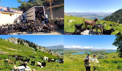 Kahramanmaraş'ta yayla göçü başladı