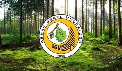 Kahramanmaraş Orman Bölge Müdürü Değişti: Yeni İsim Belli Oldu