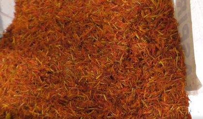 Kahramanmaraş'ta Altınla Yarışan Bitki! Kilogramı 900 Bin TL'ye Kadar Çıkıyor