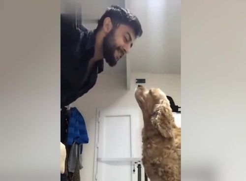 'Sen Bir Aysın' isimli türküyü söyleyen sahibini aşkla dinleyen köpek viral oldu