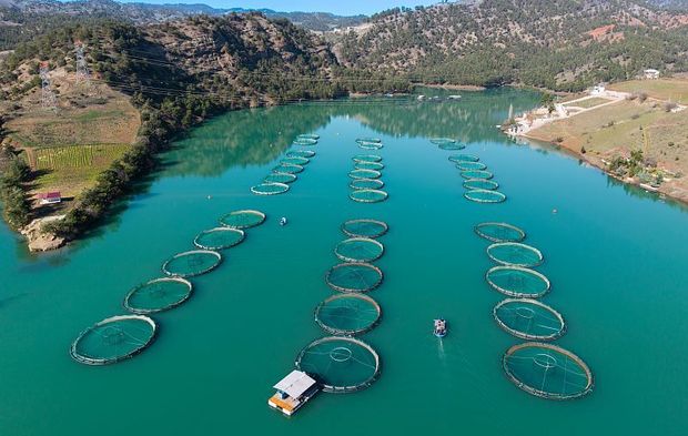 Kahramanmaraş Menzelet Barajı ve Kılavuzlu Barajı