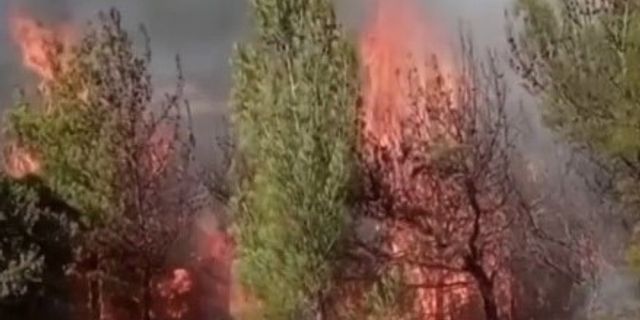 Kahramanmaraş’ta ikinci orman yangını