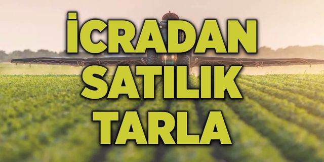 Osmaniye’de 9 bin 588 metrekare tarla satılacak