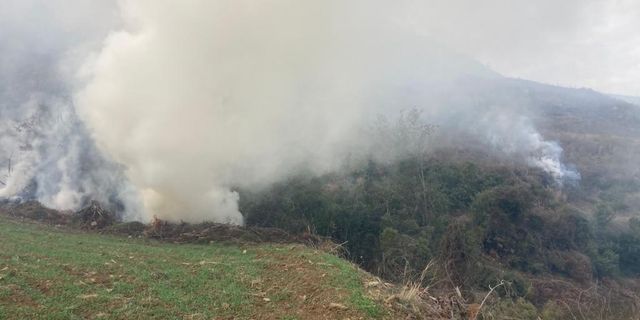 Kahramanmaraş'ta Yangın: 1 Şüpheli Gözaltına Alındı