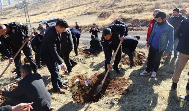 Elbistan’da bin fidan toprakla buluşturuldu