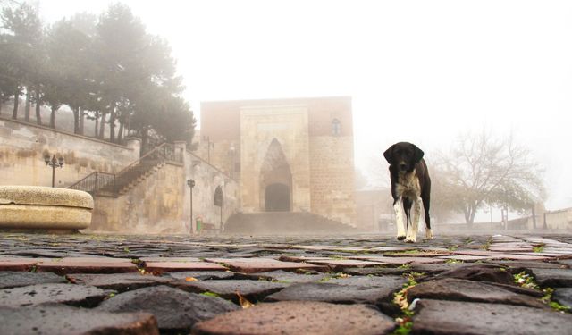 Kahramanmaraş'ta Ashab-ı Kehf yoğun sis içinde kaldı