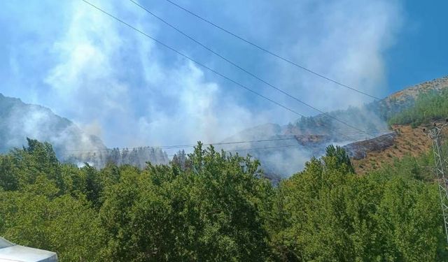 Kahramanmaraş'ta çıkan orman yangınına müdahale ediliyor