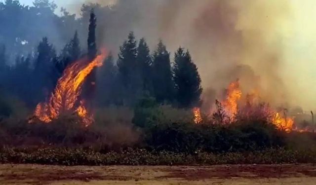 Kahramanmaraş’ta bir orman yangını daha, Yenidemir yanıyor