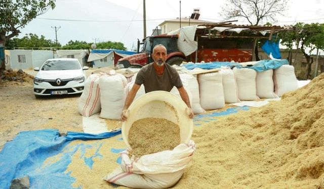 Kahramanmaraş'ta besicilerin saman telaşı